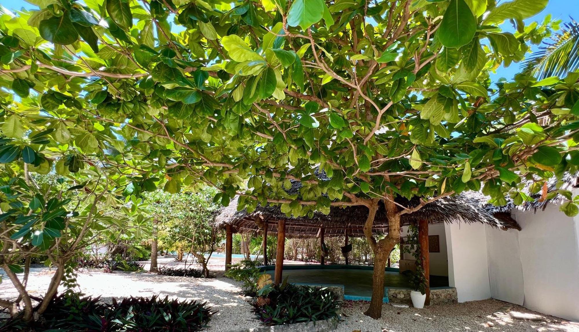 Sharazad Oasis Retreat Semesteranläggning (resort) 4*